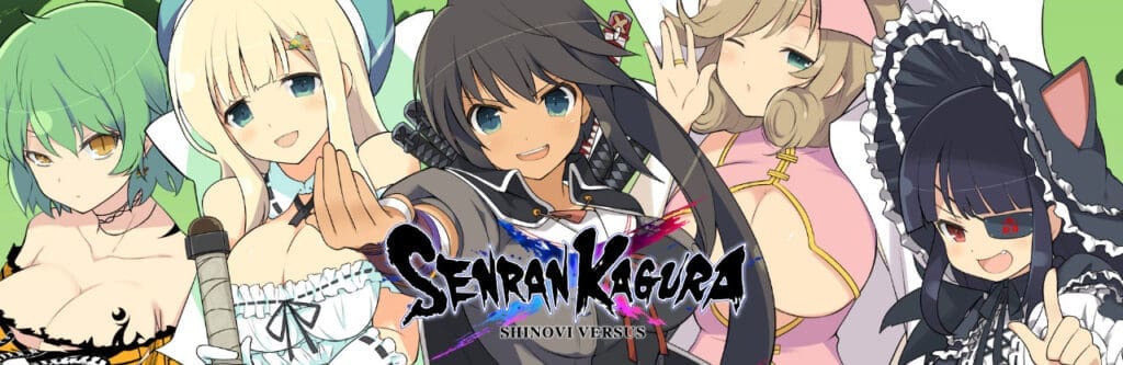SENRAN KAGURA SHINOVI VERSUS on Steam